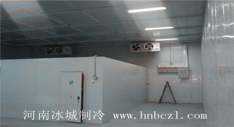 冰城制冷冷藏庫設(shè)計方案