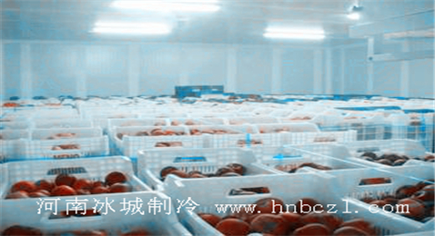 水果冷庫設(shè)計(jì)安裝工程完工現(xiàn)場(chǎng)