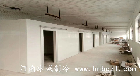 大型冷藏庫設(shè)計安裝